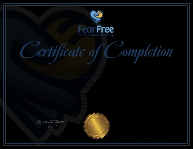 Fear Free certificate: Leveraging Pheromones for Patient Wellbeing